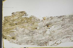 Plane Polarized, S40090