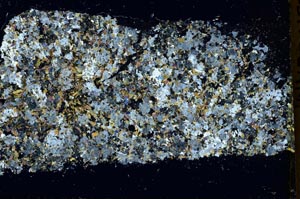 Cross Polarized, S40092