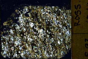 Cross Polarized, S40096