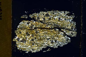 Cross Polarized, S40103