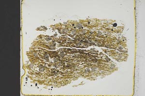 Plane Polarized, S40103