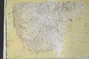 Plane Polarized, S40105