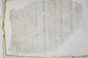 Plane Polarized, S40106