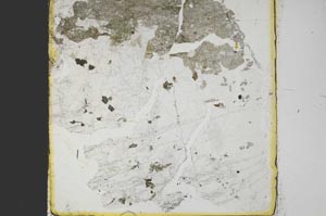 Plane Polarized, S40108