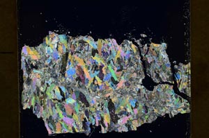 Cross Polarized, S40111