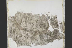 Plane Polarized, S40111