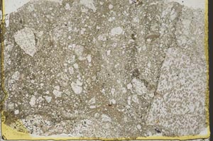 Plane Polarized, S40113