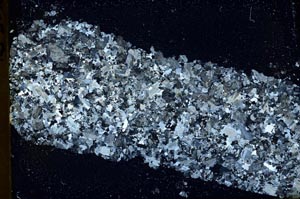 Cross Polarized, S40114