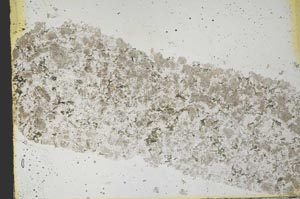 Plane Polarized, S40114