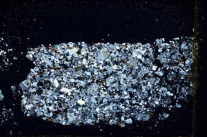 Cross Polarized, S40115