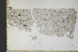 Plane Polarized, S40116