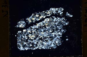 Cross Polarized, S40119