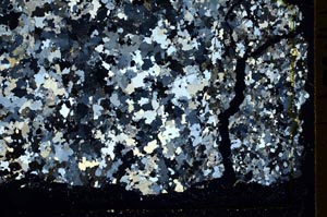 Cross Polarized, S40120