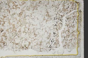 Plane Polarized, S40120