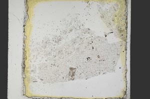 Plane Polarized, S40122