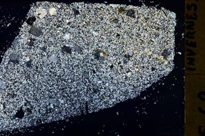 Cross Polarized, S40122/A