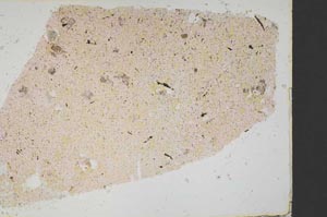 Plane Polarized, S40122/A