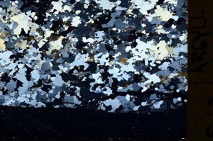 Cross Polarized, S40127