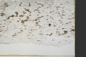 Plane Polarized, S40127