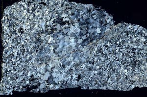 Cross Polarized, S40129