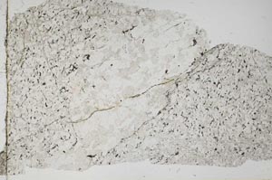 Plane Polarized, S40129