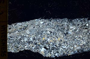 Cross Polarized, S40130