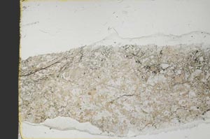 Plane Polarized, S40130