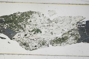 Plane Polarized, S40131