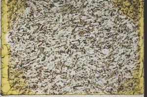 Plane Polarized, S40132