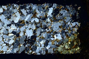 Cross Polarized, S40133