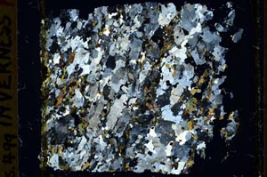 Cross Polarized, S40134