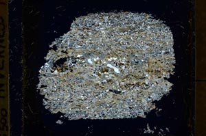 Cross Polarized, S40135