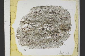 Plane Polarized, S40135