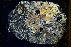 Cross Polarized, S40136