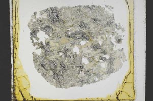 Plane Polarized, S40136/A