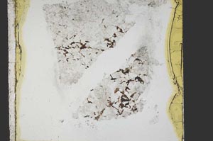 Plane Polarized, S40139