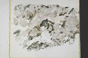 Plane Polarized, S40140
