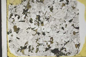 Plane Polarized, S40141