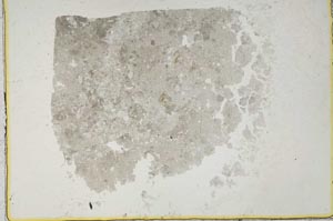 Plane Polarized, S40171