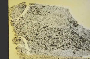 Plane Polarized, S40190