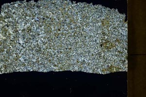 Cross Polarized, S40191