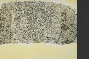 Plane Polarized, S40191