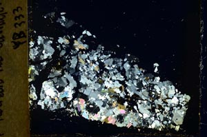 Cross Polarized, S40192