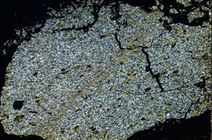 Cross Polarized, S40193