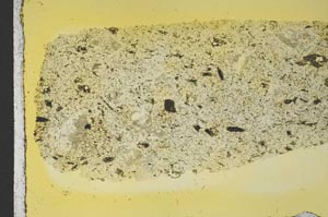 Plane Polarized, S40194