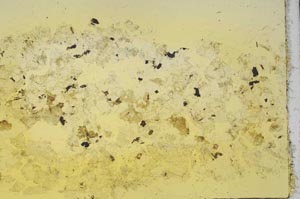 Plane Polarized, S40197