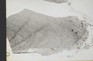 Plane Polarized, S40223