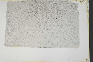 Plane Polarized, S40224