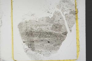 Plane Polarized, S40226
