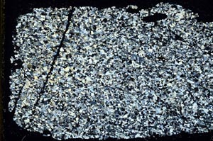 Cross Polarized, S40232